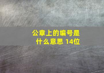 公章上的编号是什么意思 14位